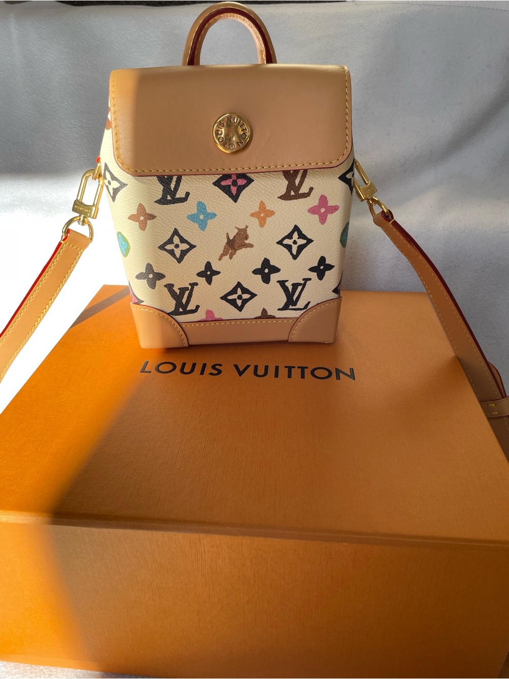 Louis Vuitton Multicolor Monogram Nano Steamer x Tyler the creator